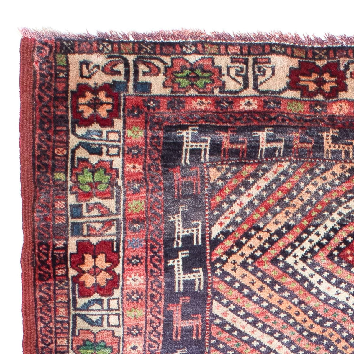 Tappeto Belutsch 104x157cm - Tappeto orientale
