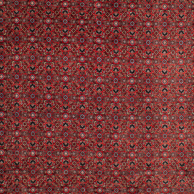 Perserteppich - Bidjar 295 x 203 cm Teppich Wohnzimmer