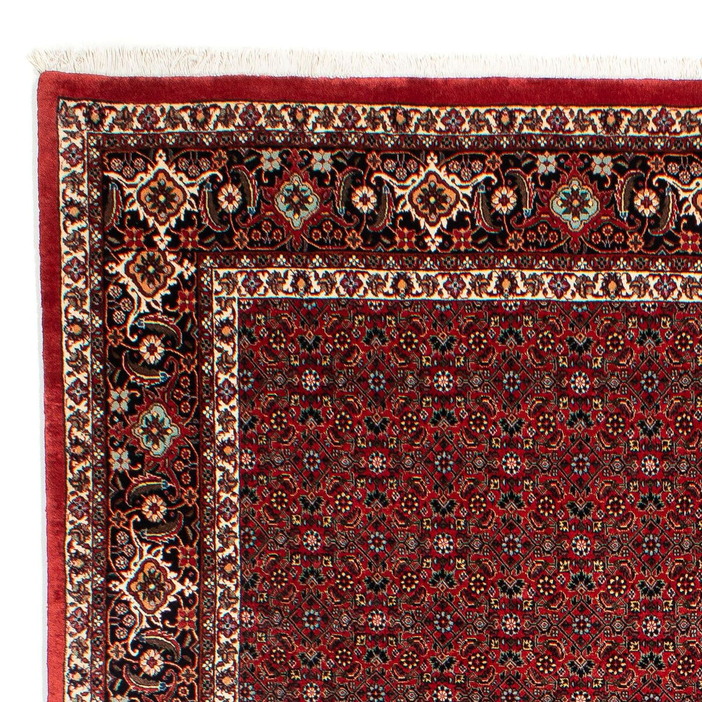 Bidjar Tappeto 295x203cm - Tappeto persiano
