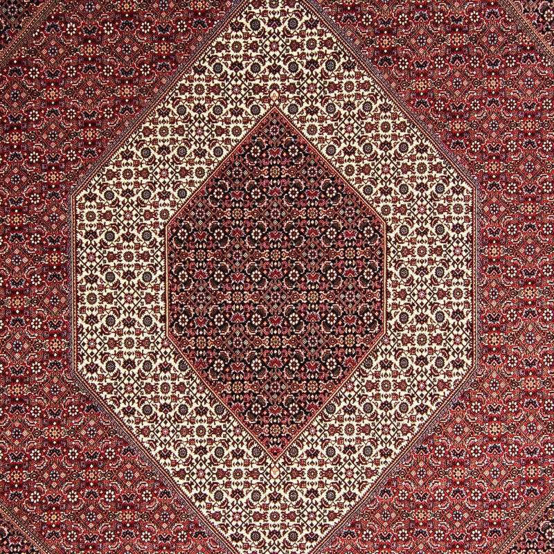 Perserteppich - Bidjar 354 x 248 cm