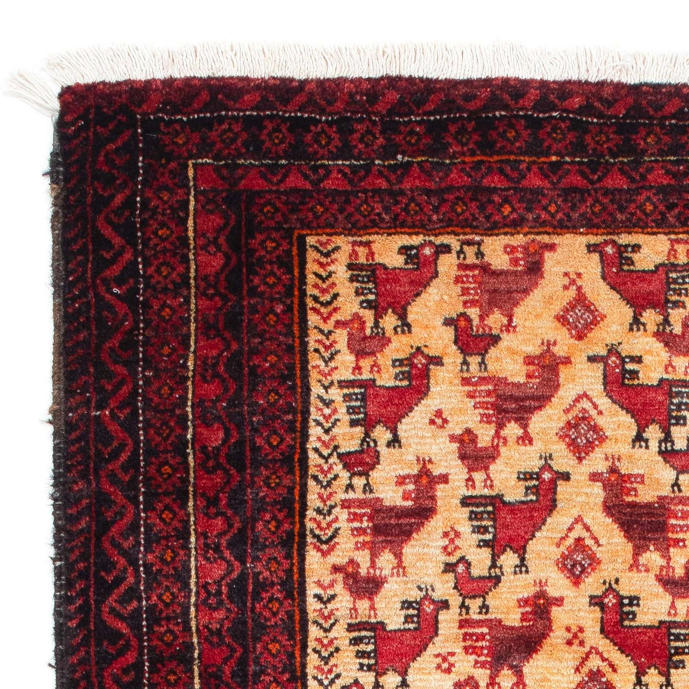 Belutsch Teppich 167x94cm - Orientteppich