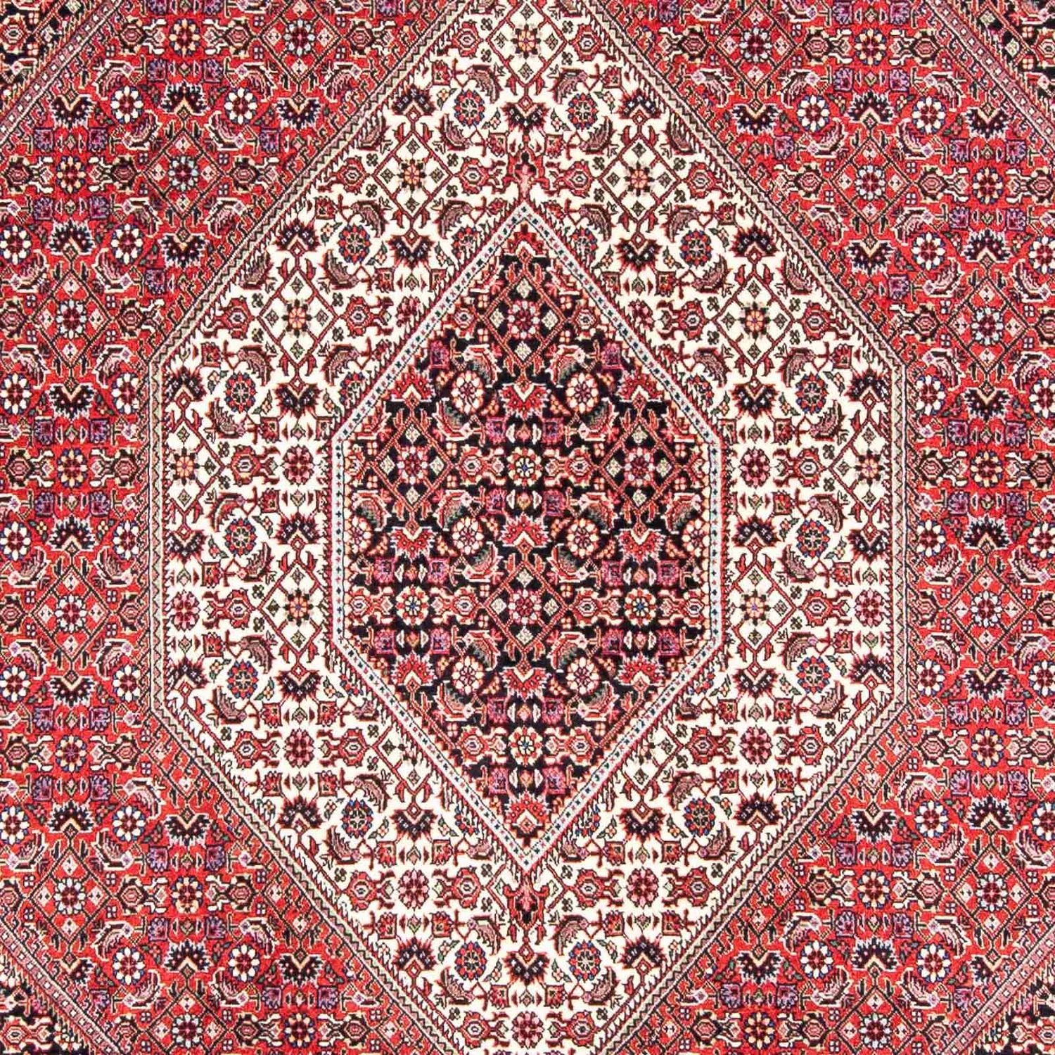 Perserteppich - Bidjar 243 x 171 cm