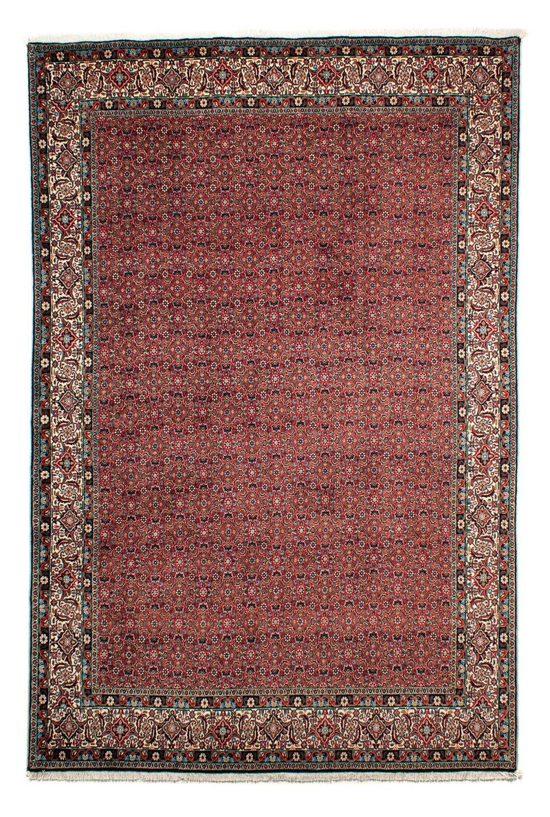 Perserteppich - Bidjar 299 x 203 cm