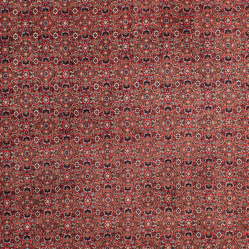 Perserteppich - Bidjar 299 x 203 cm