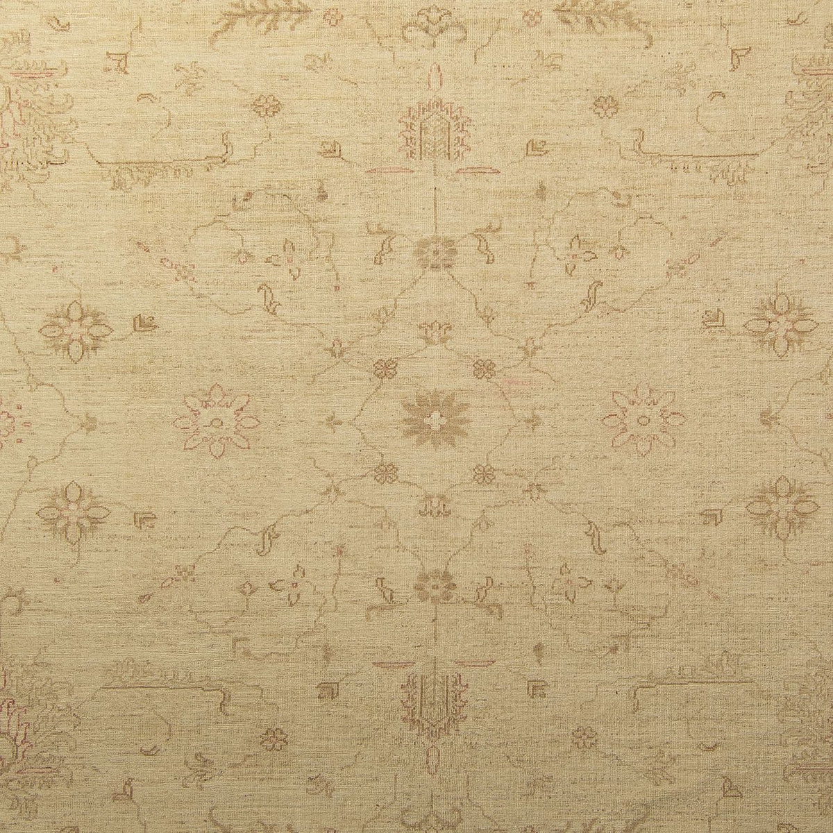 Ziegler Teppich 339 x 245 cm