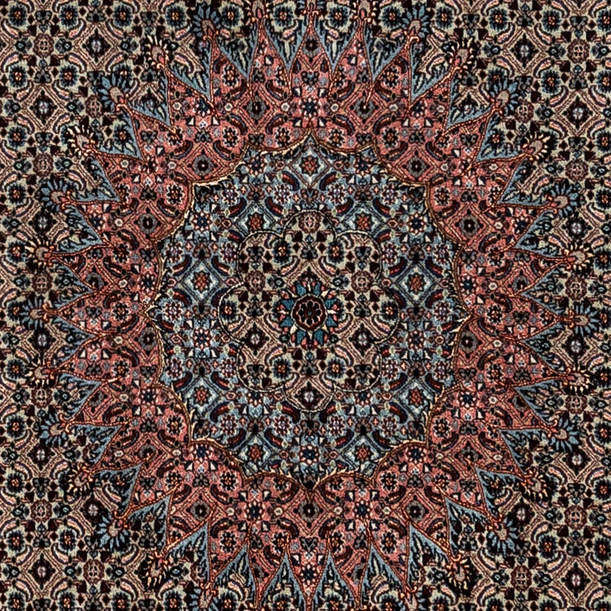 Perserteppich - Classic 347 x 252 cm - hellchoco