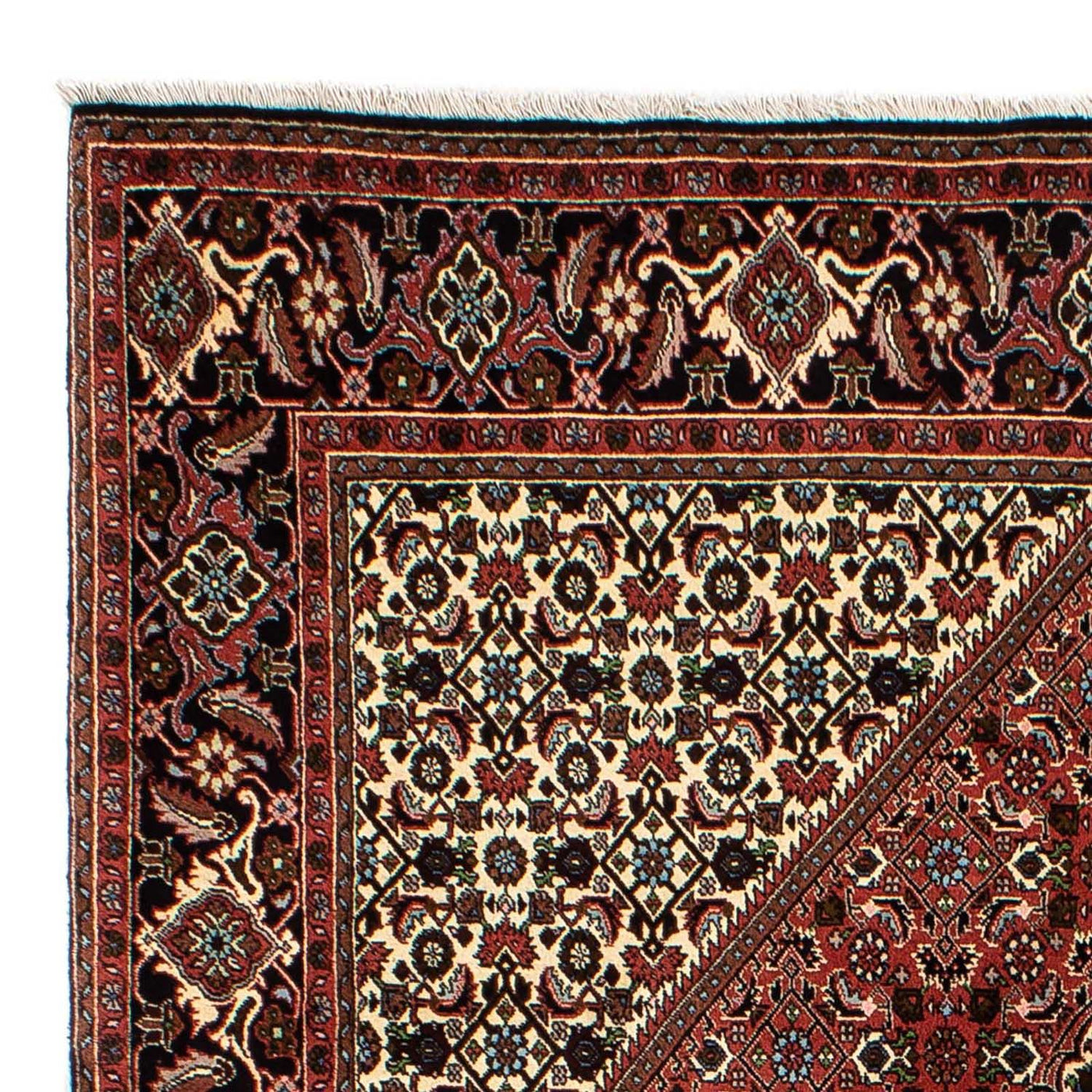 Bidjar Tappeto 244x171cm - Tappeto persiano