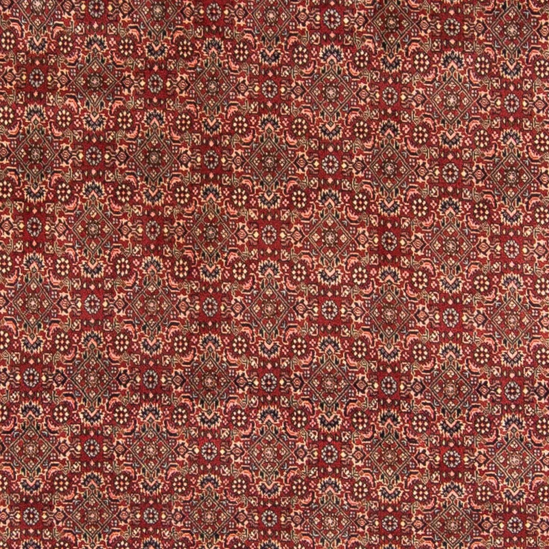 Perserteppich - Bidjar 298 x 200 cm