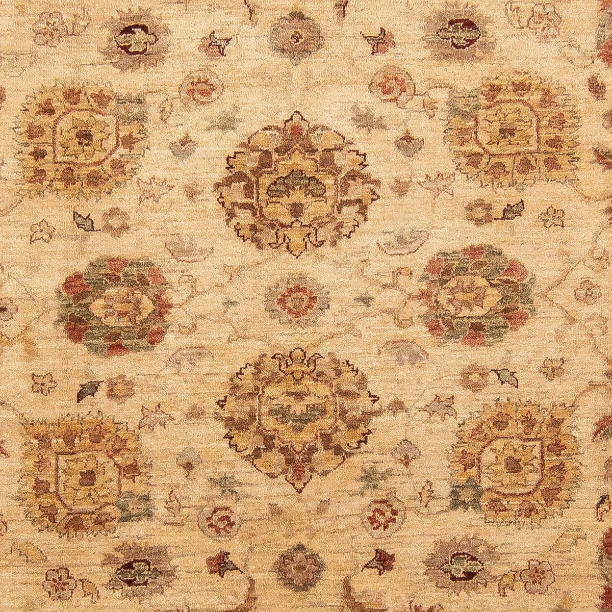 Ziegler Teppich 281 x 240 cm