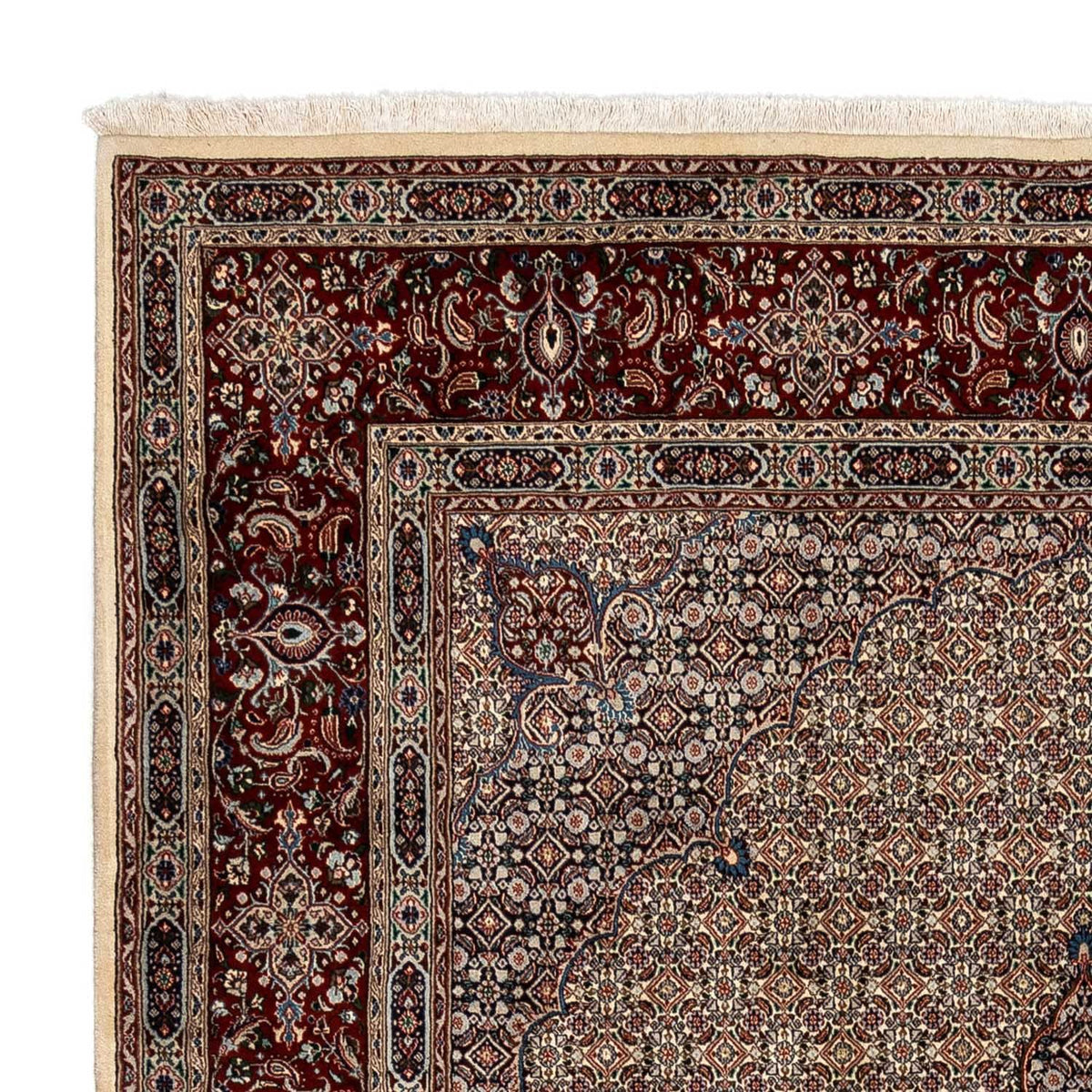 Tapis de Moud Tapis 246x352cm - Tapis persan