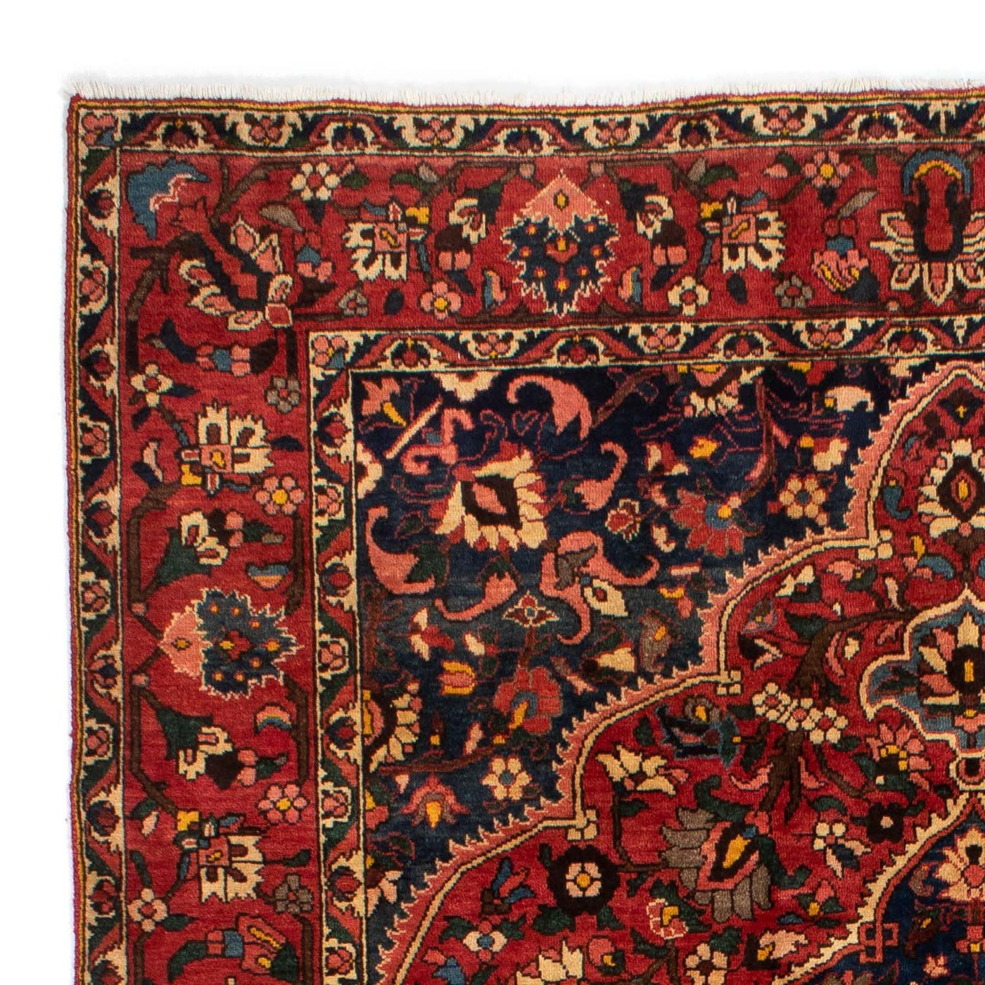 Bakhtiari Tappeto 310x209cm - Tappeto persiano
