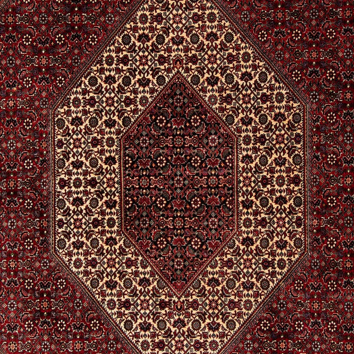 Perserteppich - Bidjar 251 x 201 cm