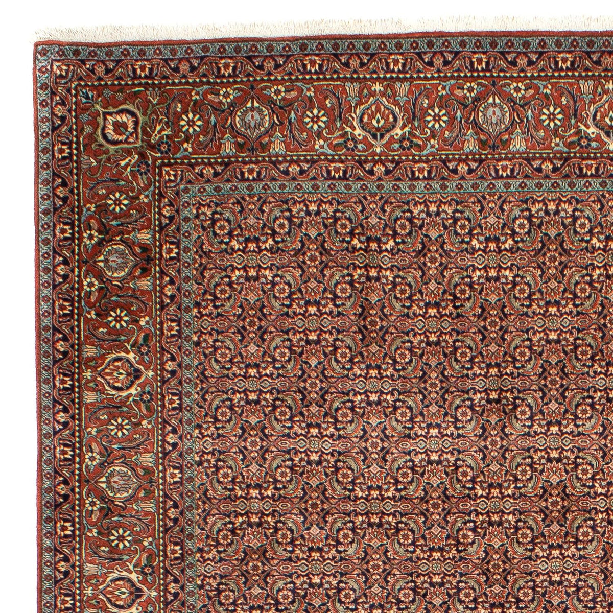 Bidjar Tappeto 202x298cm - Tappeto persiano