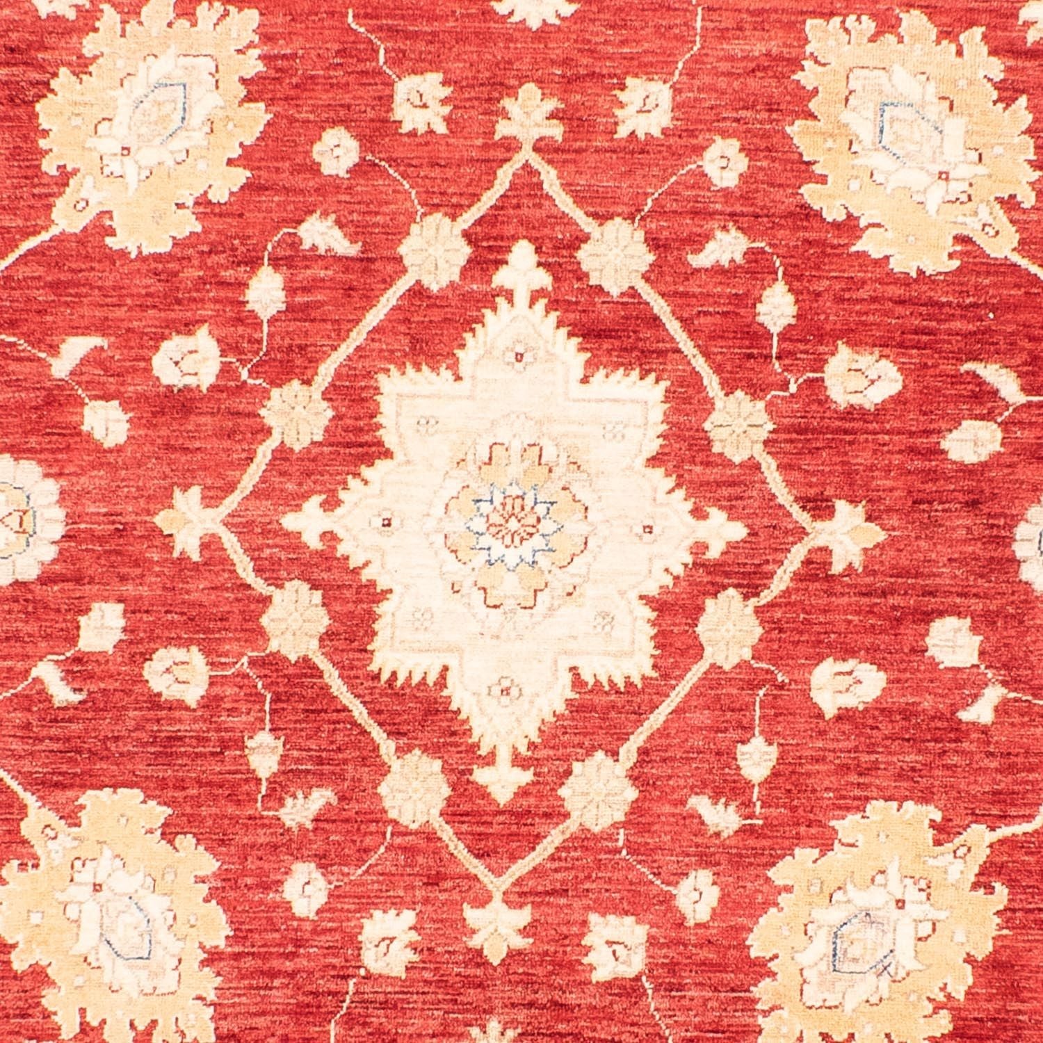 Ziegler Teppich 310 x 243 cm