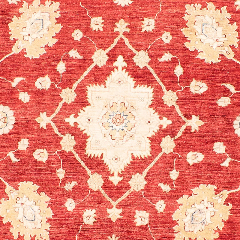 Ziegler Teppich 310 x 243 cm