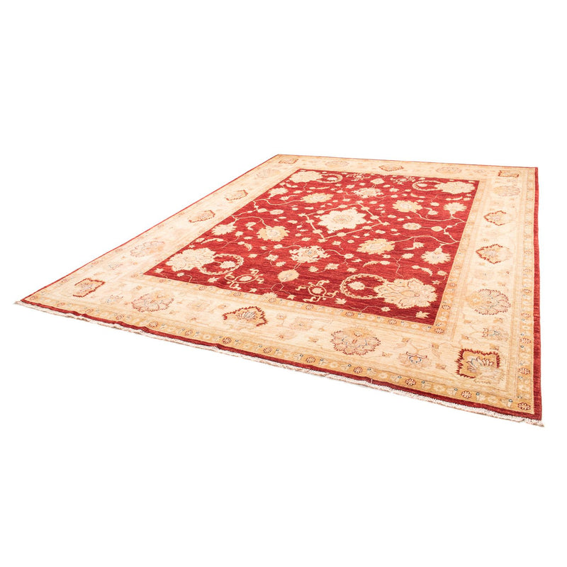 Ziegler Teppich 310 x 243 cm
