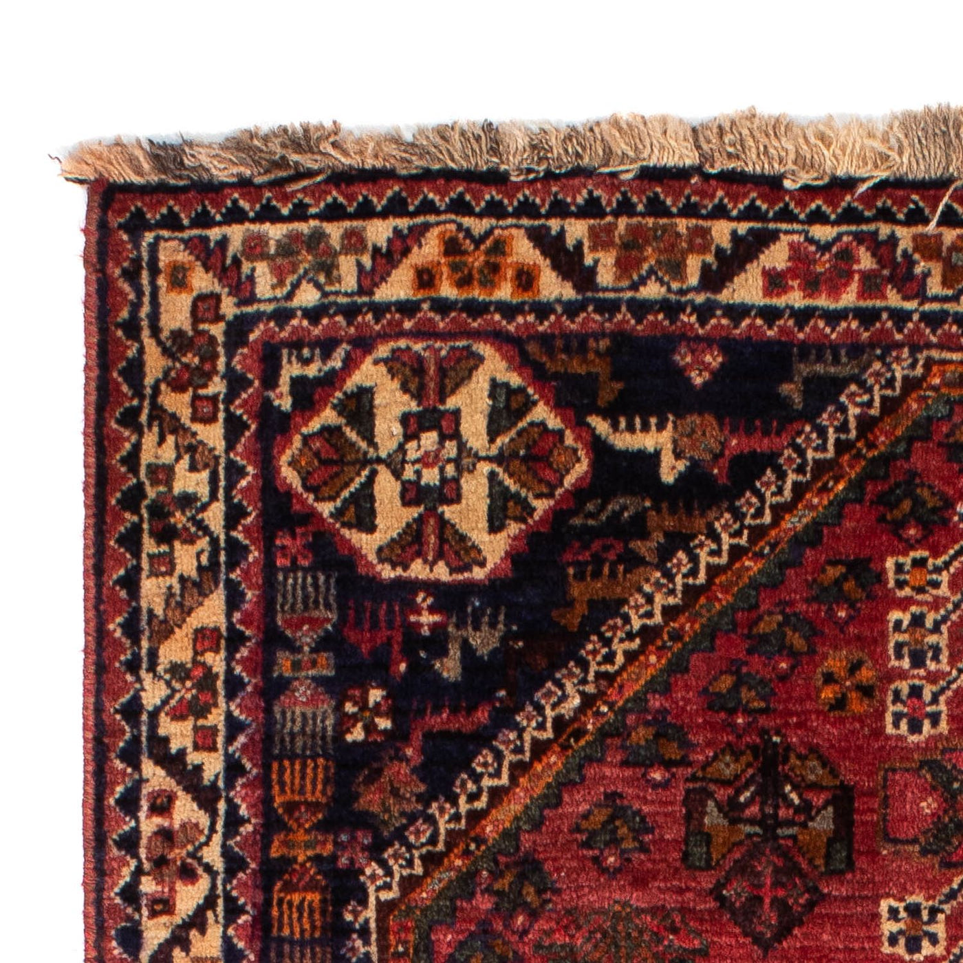 Tapis de Chiraz Tapis 155x103cm - Tapis persan