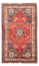 Shiraz Tappeto 175x110cm - Tappeto persiano