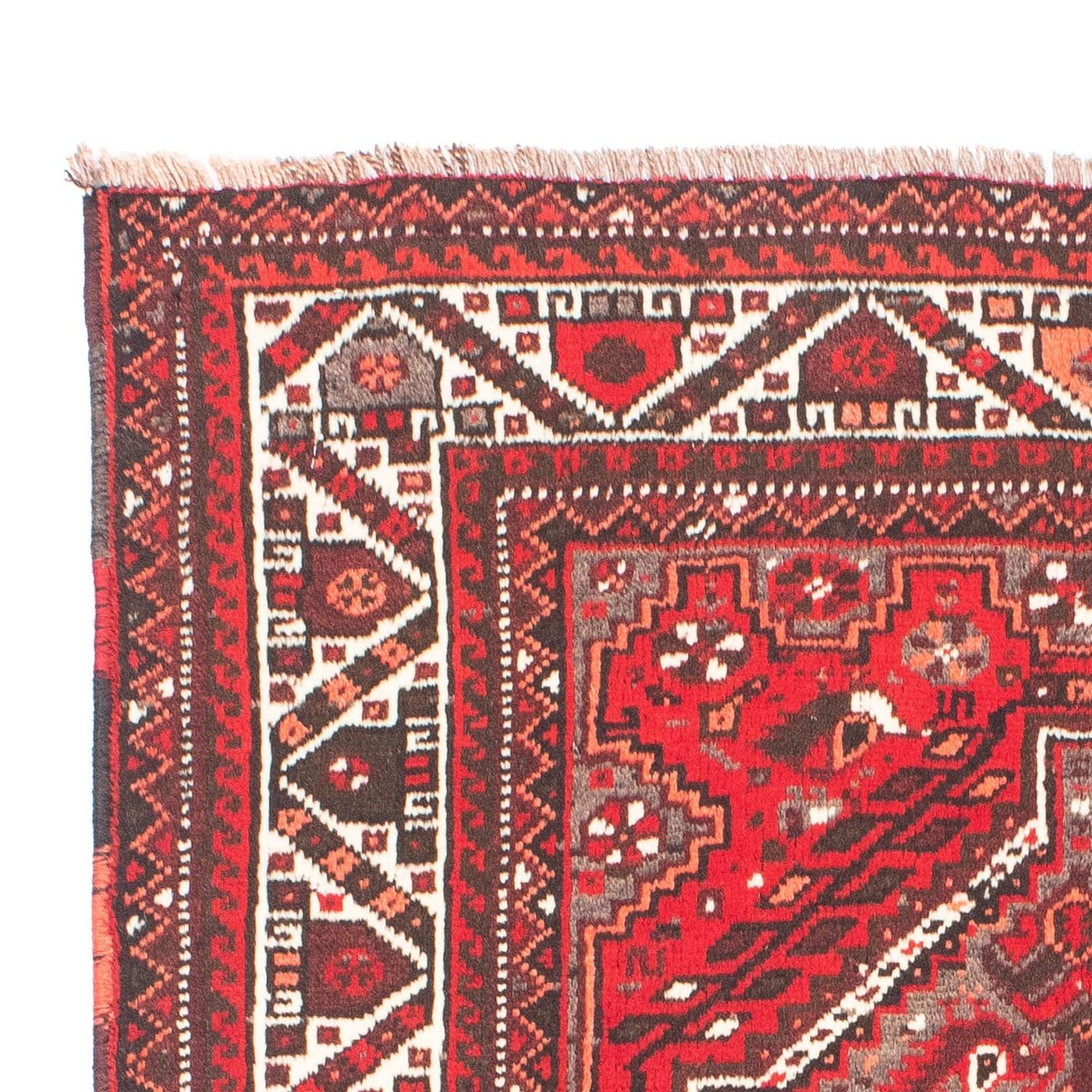 Shiraz Tappeto 165x110cm - Tappeto persiano