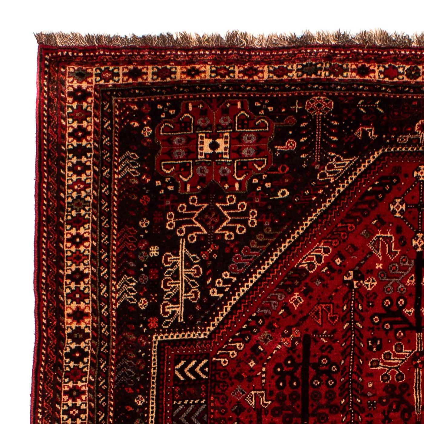 Tapis de Chiraz Tapis 245x190cm - Tapis persan