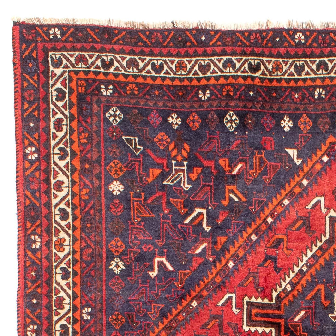 Shiraz Tappeto 300x215cm - Tappeto persiano
