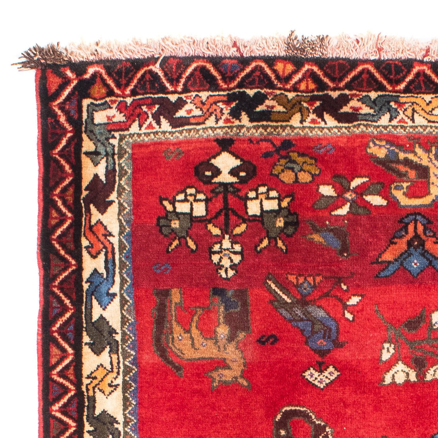 Shiraz Tappeto 158x123cm - Tappeto persiano