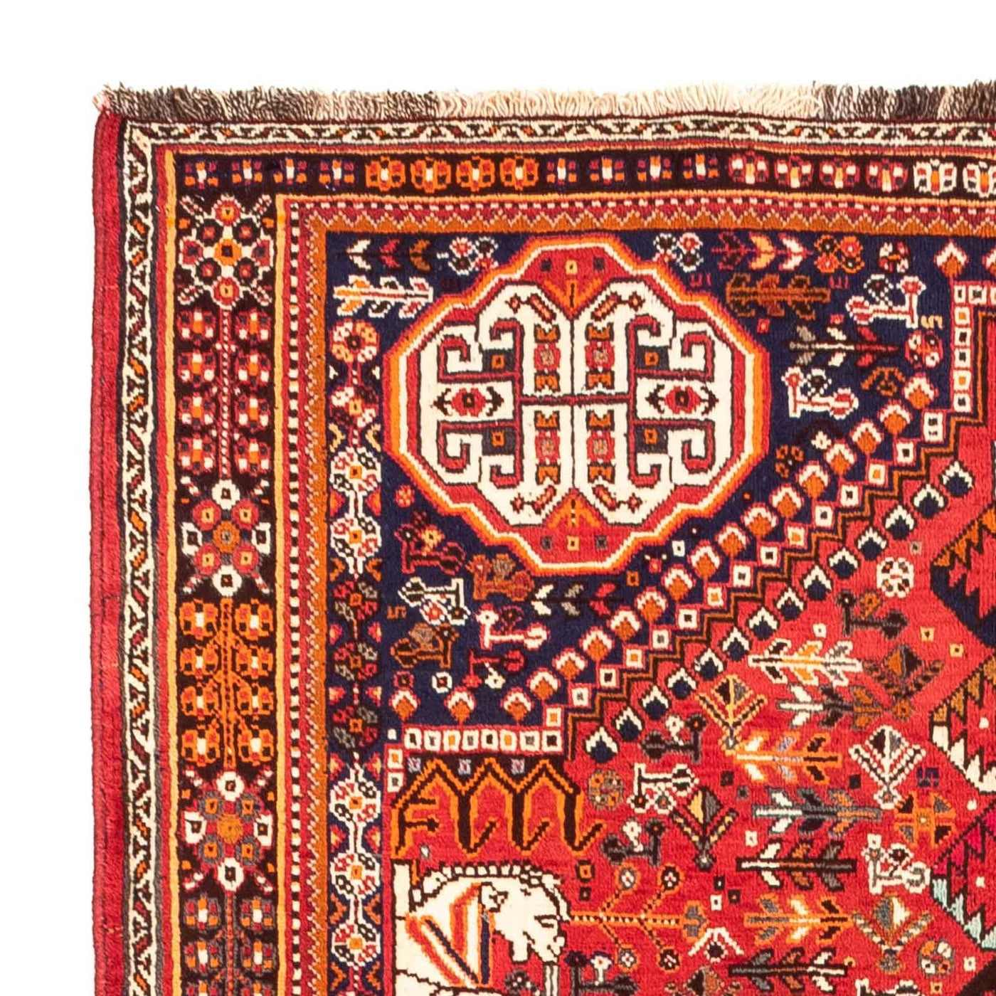 Shiraz Tappeto 250x155cm - Tappeto persiano
