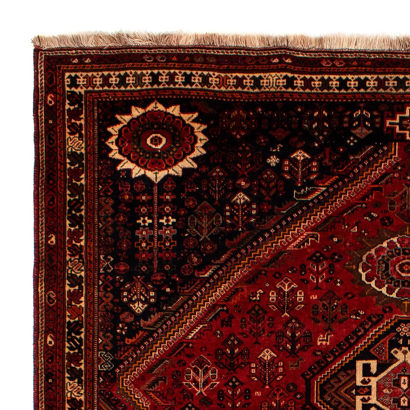 Shiraz Teppich 322x225cm - Perserteppich