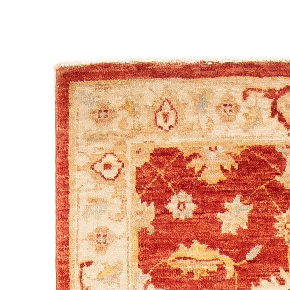 Tapis Ziegler 73x263cm - Tapis oriental - rouille