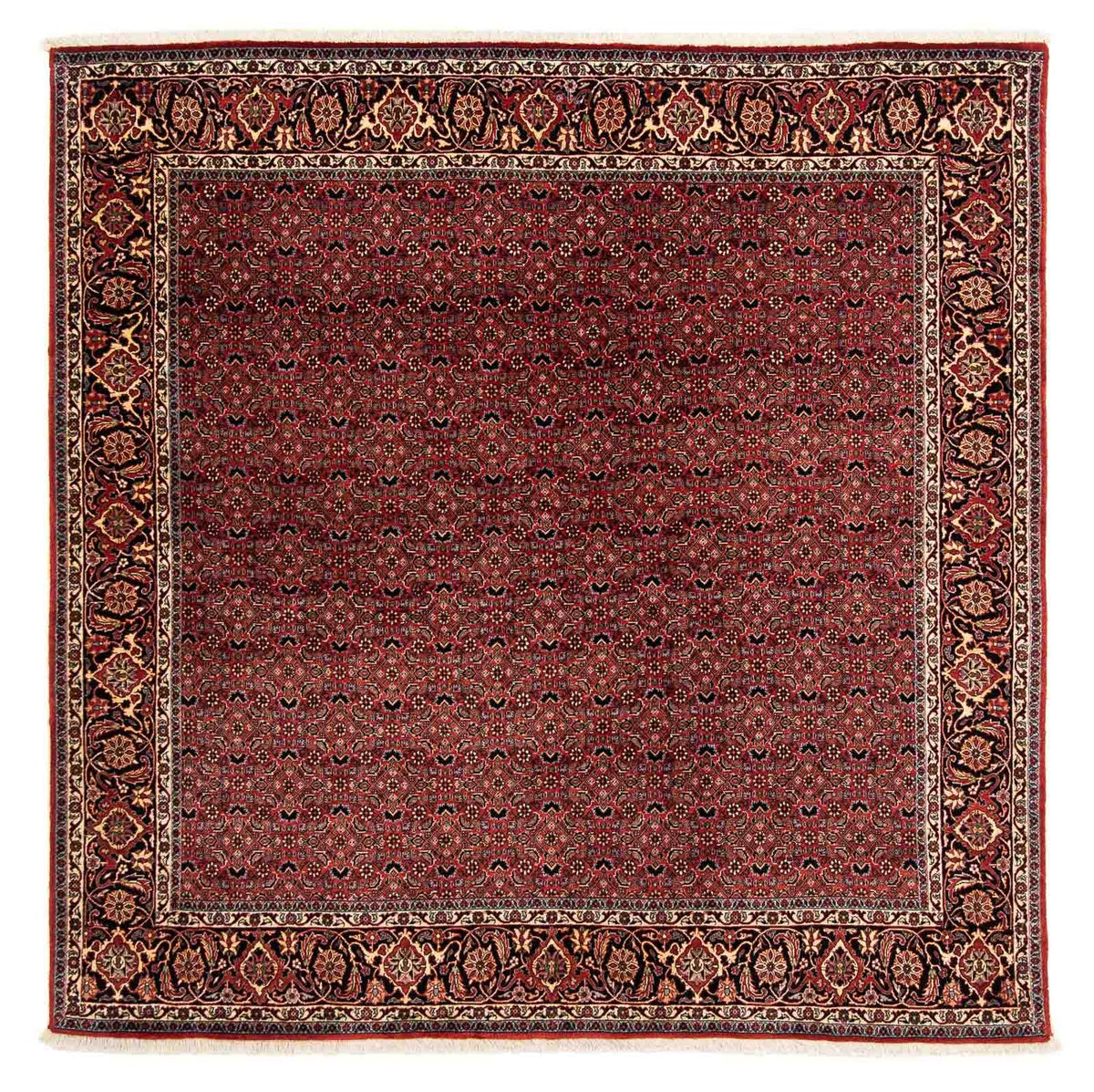 Perserteppich - Bidjar 200 x 197 cm Quadratischer Teppich