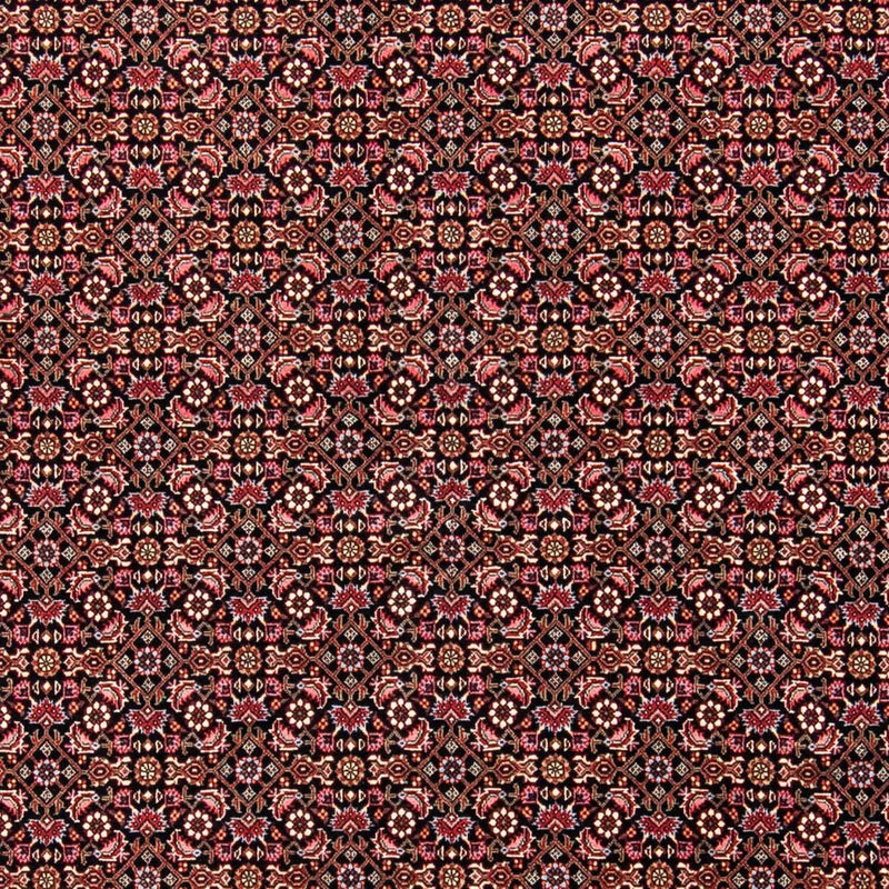 Perserteppich - Bidjar 245 x 176 cm