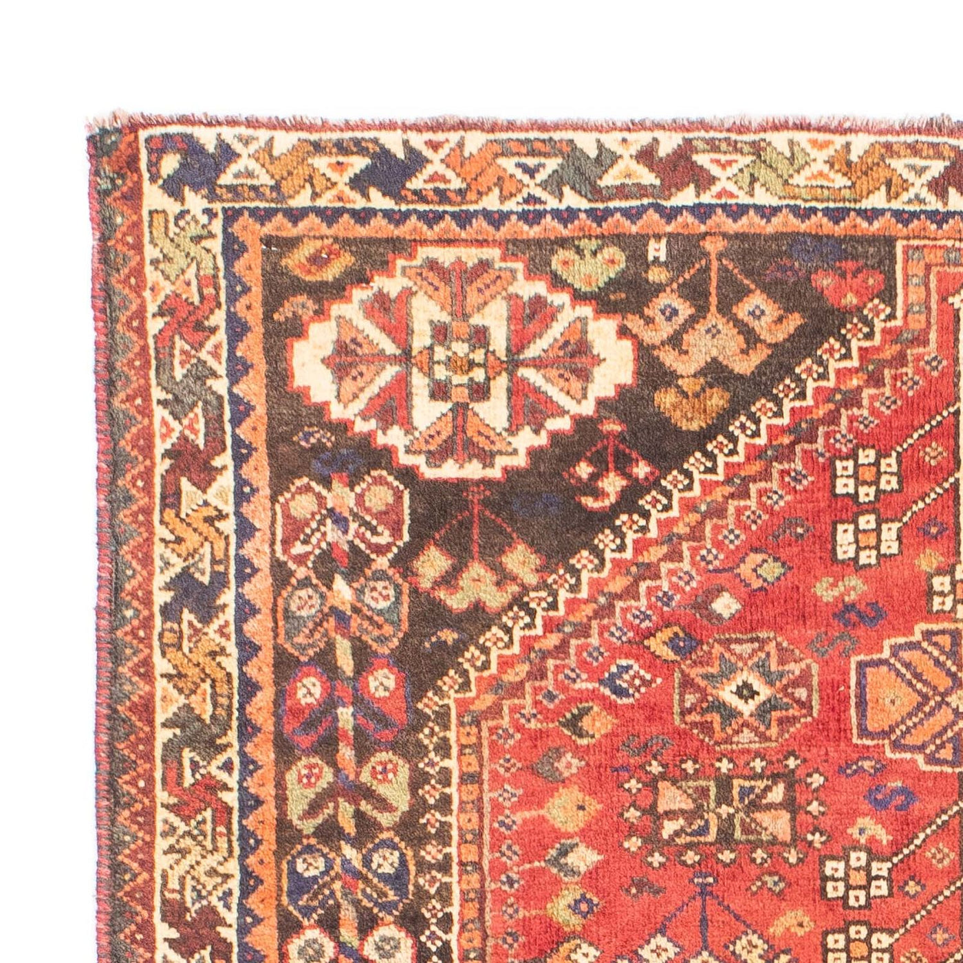 Shiraz Tappeto 153x106cm - Tappeto persiano