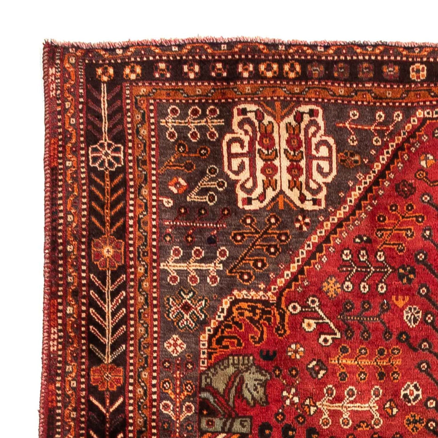 Shiraz Tappeto 253x160cm - Tappeto persiano