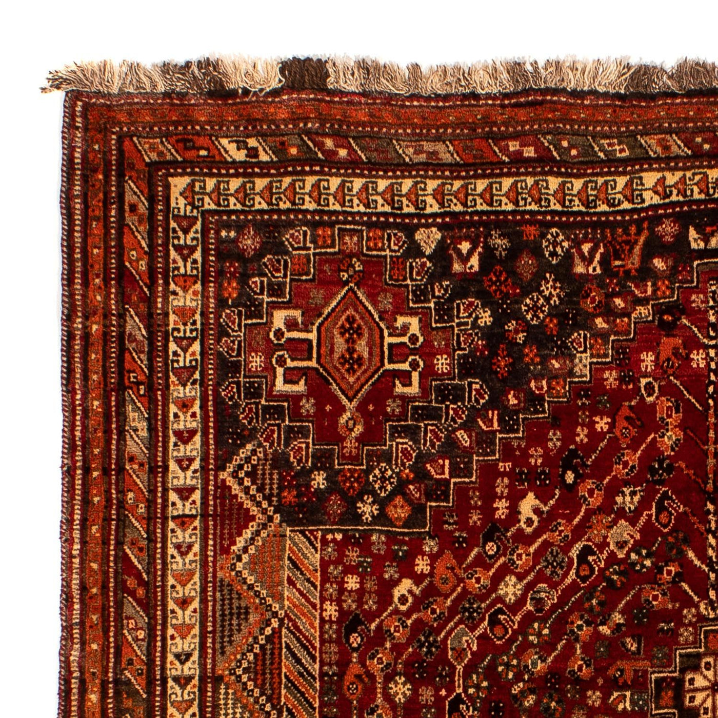 Shiraz Tappeto 240x190cm - Tappeto persiano