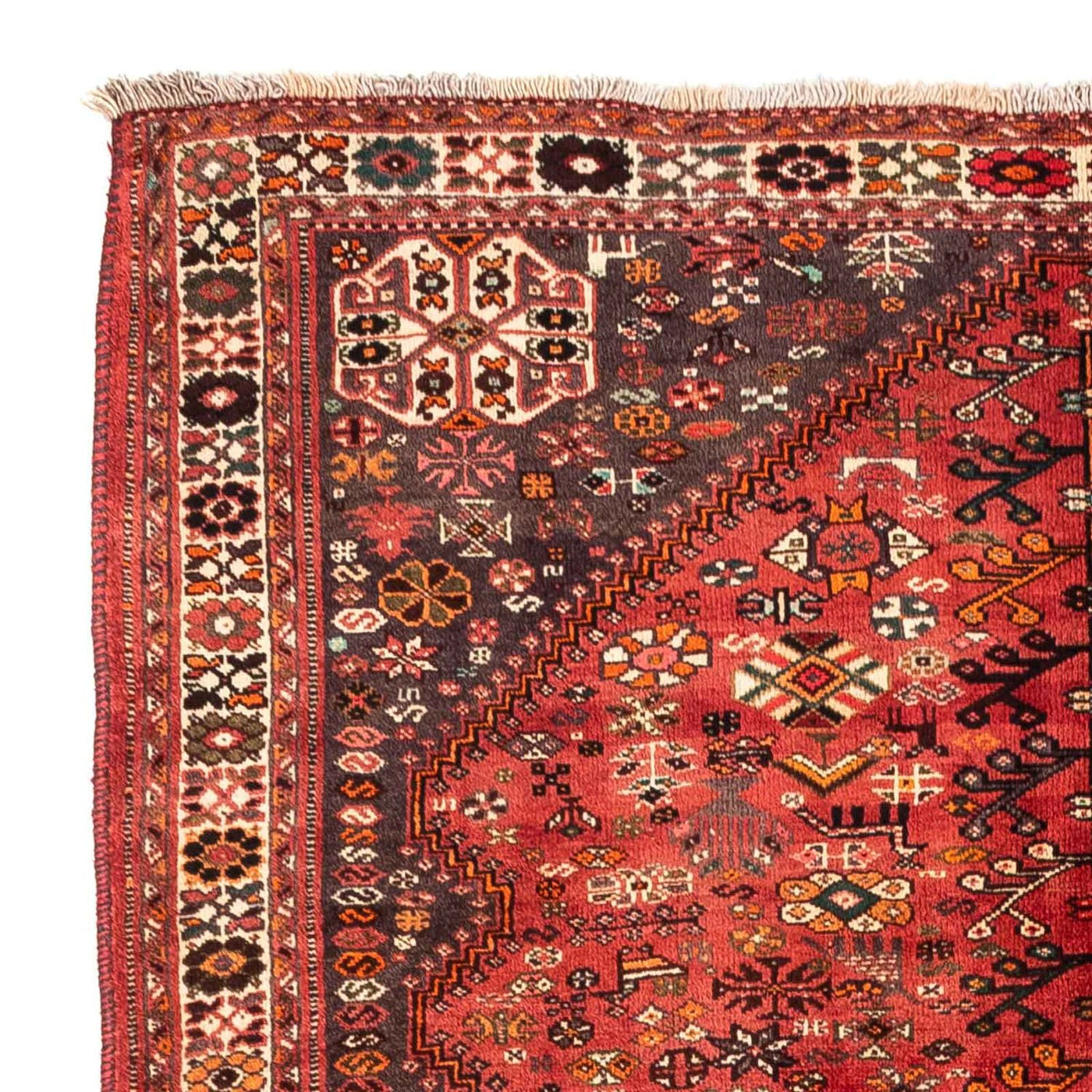 Shiraz Teppich 243x174cm - Perserteppich