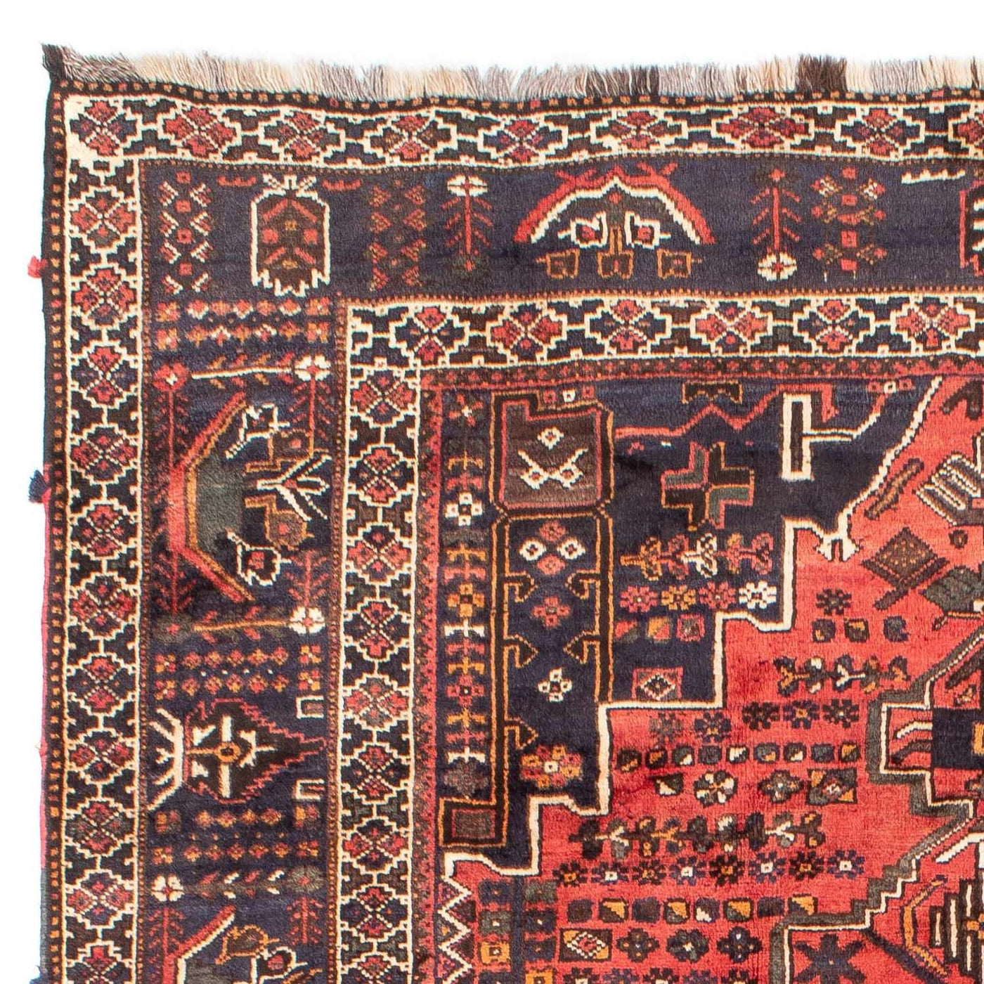 Shiraz Tappeto 300x220cm - Tappeto persiano