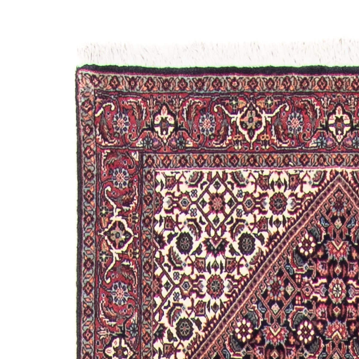 Tapis de Bidjar Tapis 81x395cm - Tapis persan - beige