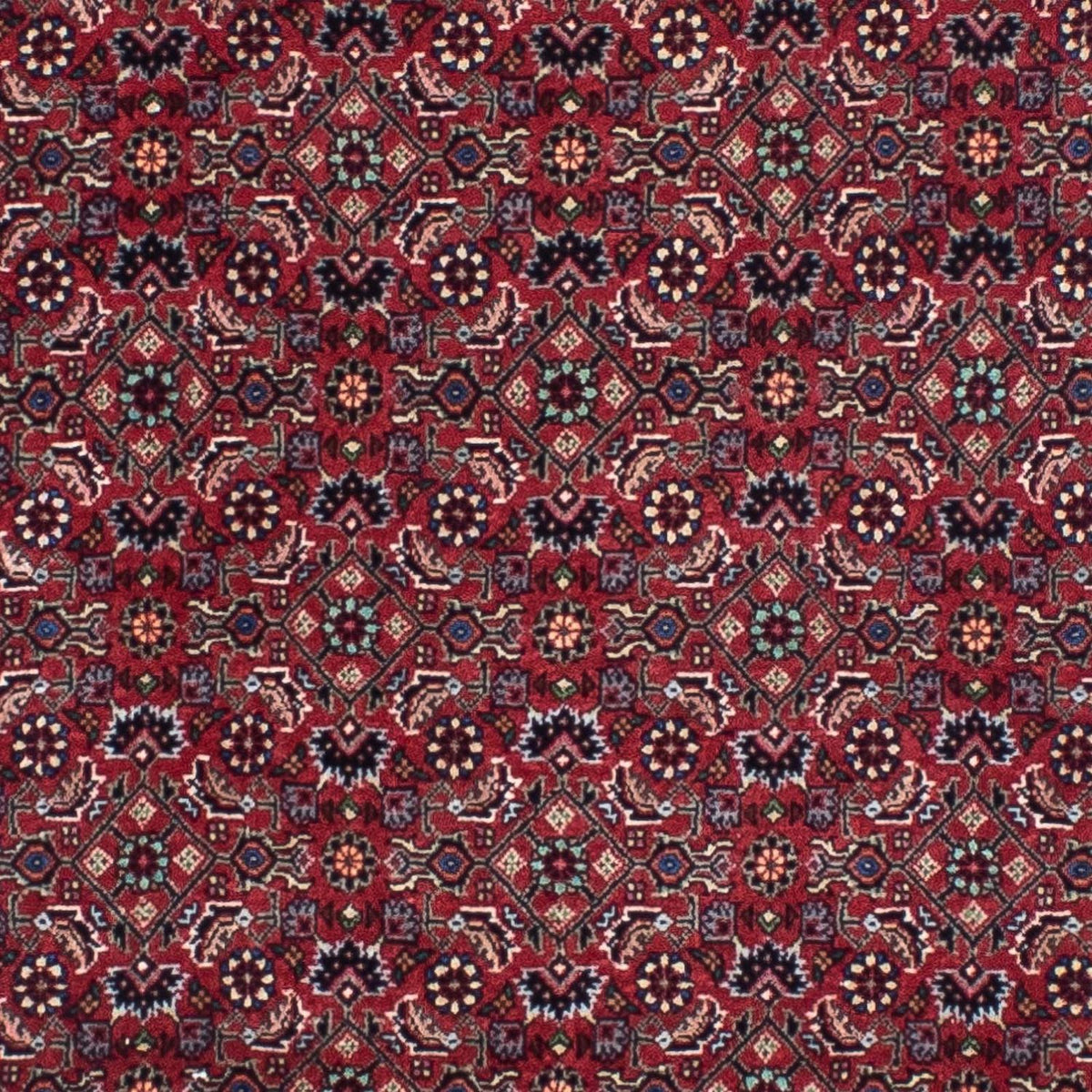 Perserteppich - Bidjar - Royal 295 x 84 cm Teppich Läufer