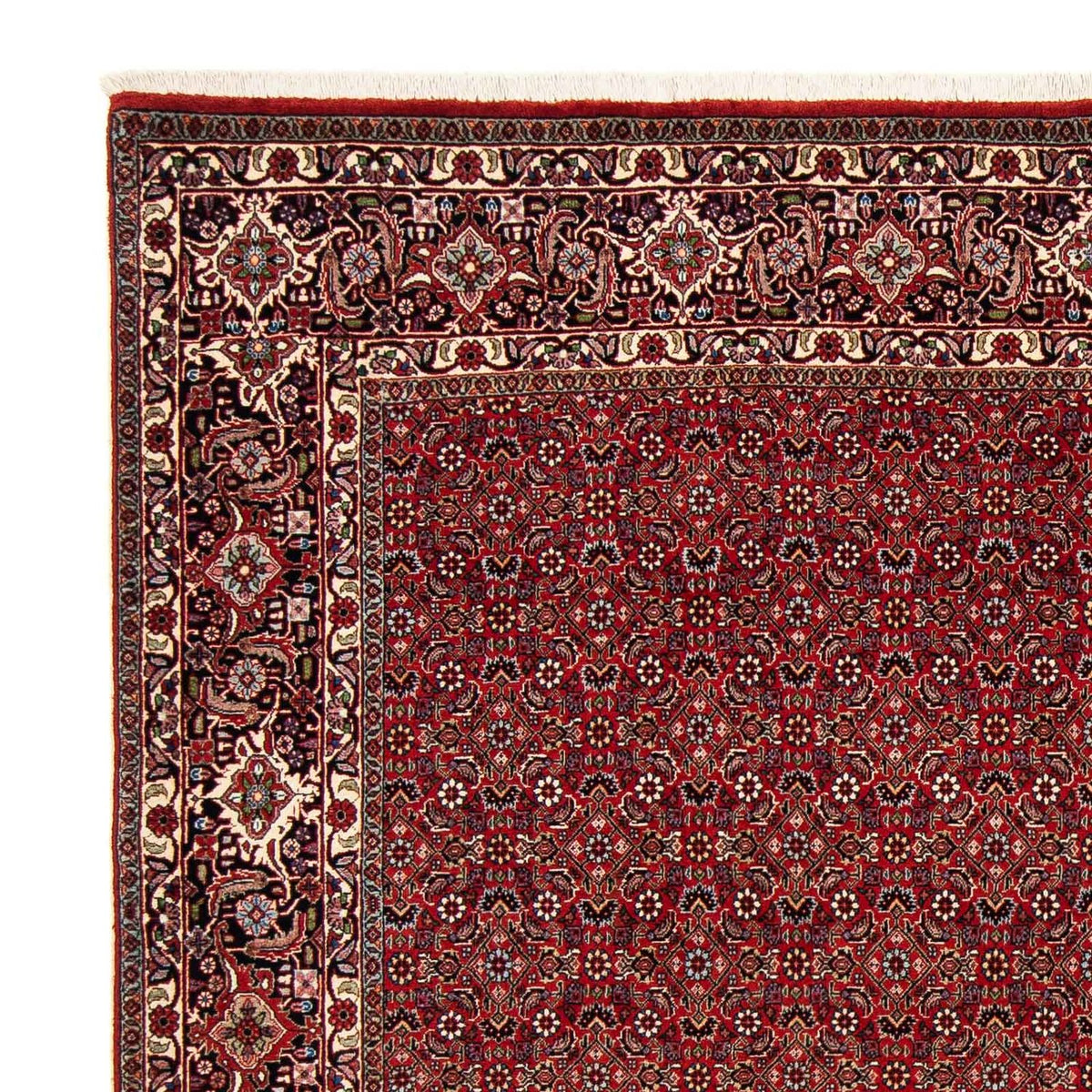 Tapis de Bidjar Tapis 205x205cm - Tapis persan - rouge foncé