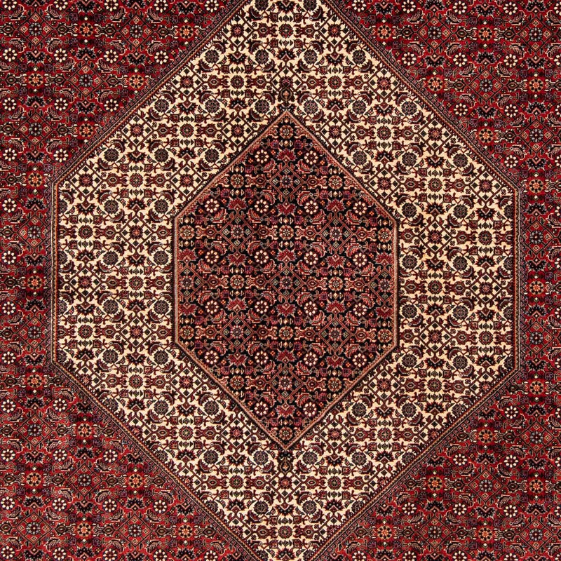 Perserteppich - Bidjar 261 x 206 cm