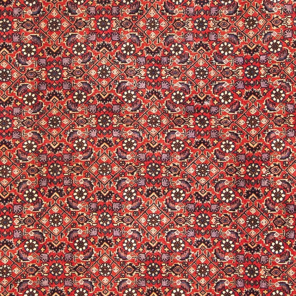 Perserteppich - Bidjar - Royal 183 x 114 cm
