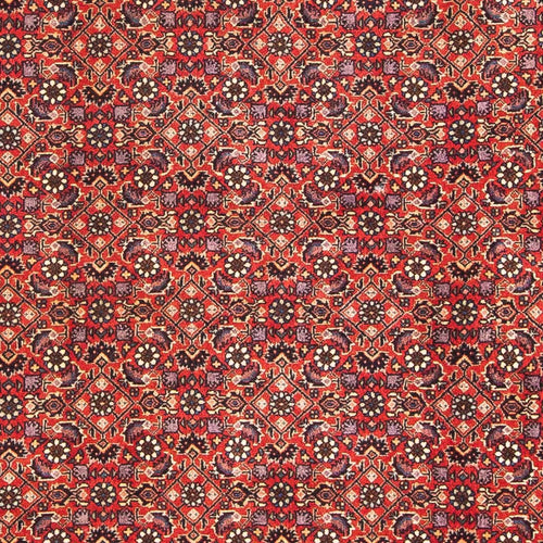 Perserteppich - Bidjar - Royal 183 x 114 cm