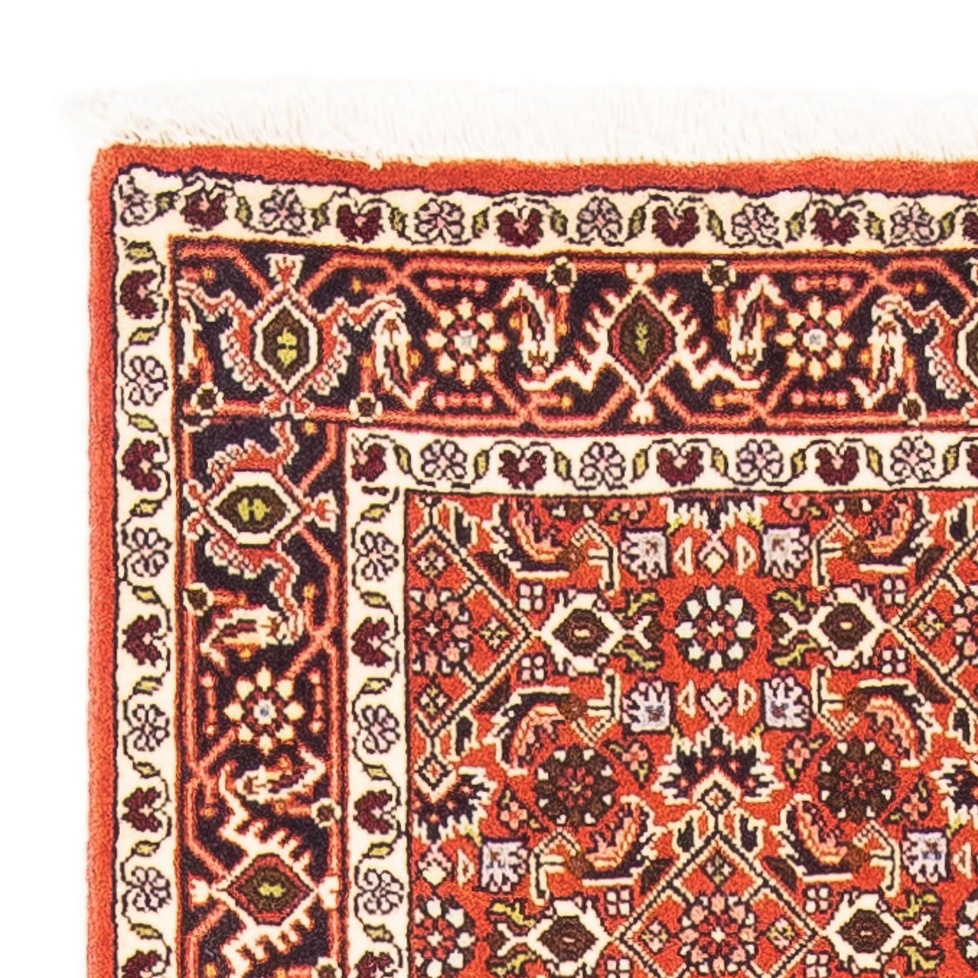 Bidjar - Zanjan Tapis 148x84cm - Tapis persan
