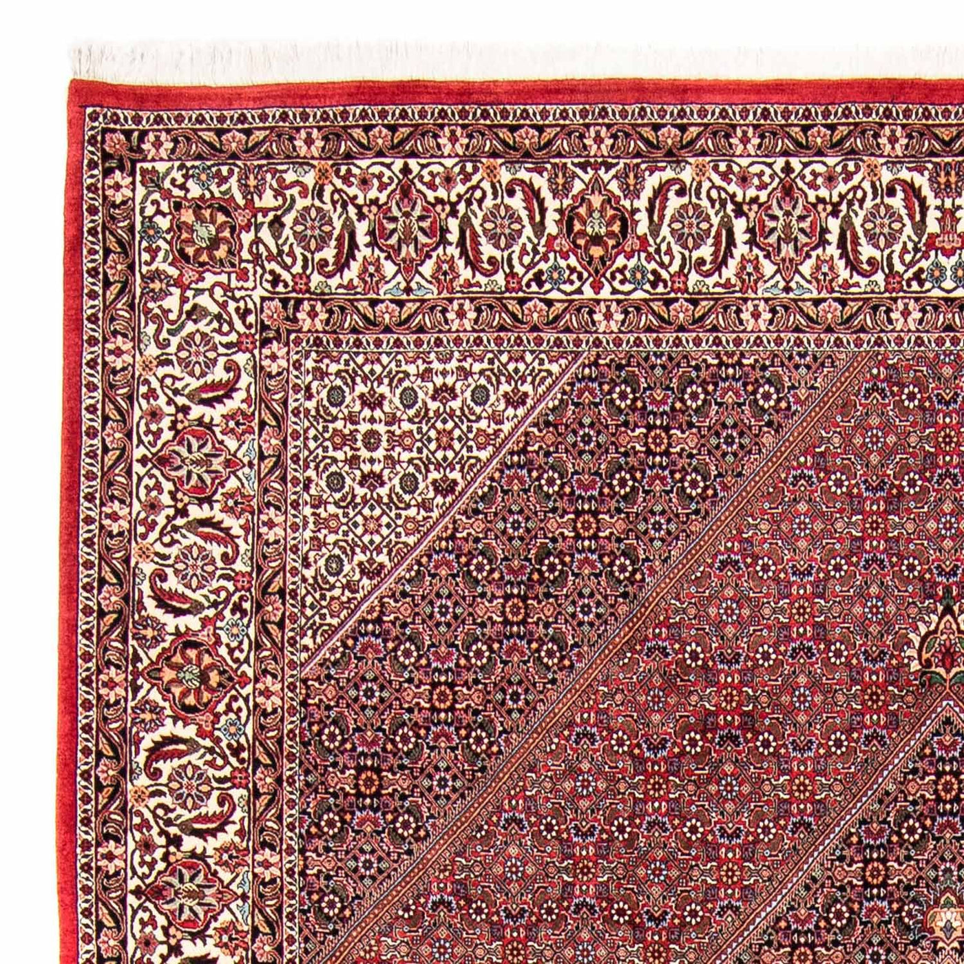 Tapis de Bidjar Tapis 298x258cm - Tapis persan