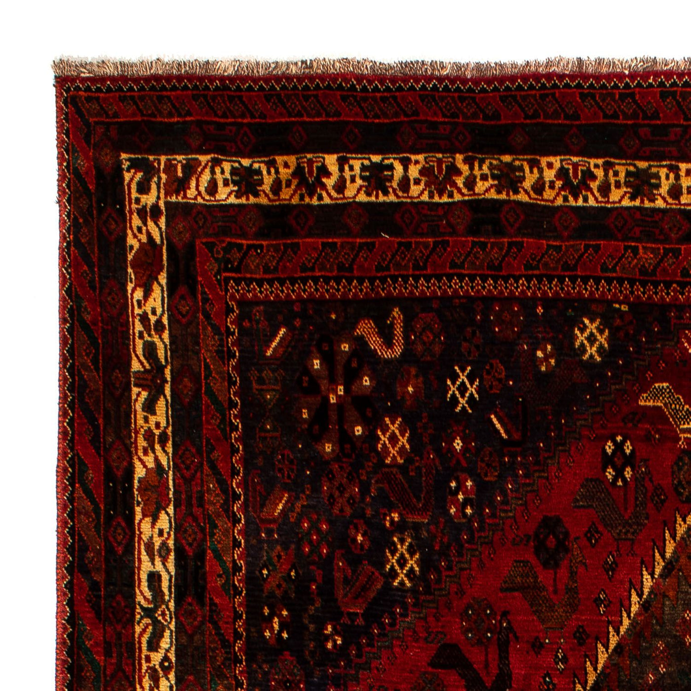 Shiraz Teppich 312x208cm - Perserteppich