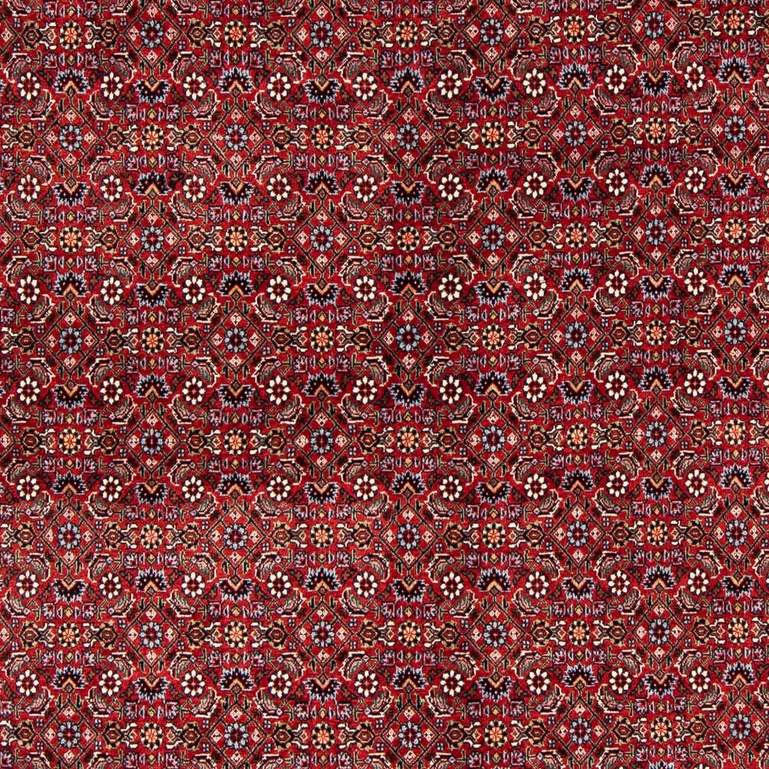 Perserteppich - Bidjar 231 x 170 cm