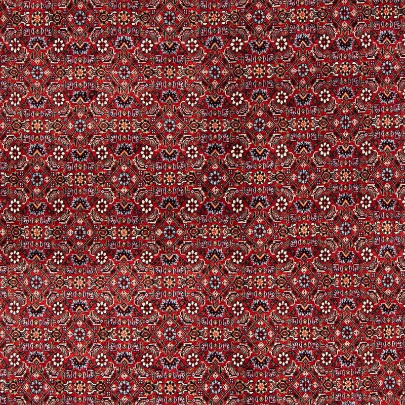 Perserteppich - Bidjar 231 x 170 cm