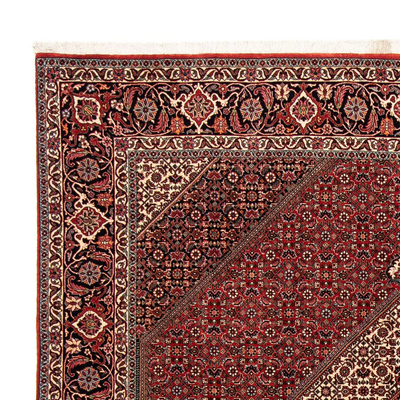 Perserteppich - Bidjar 253 x 202 cm