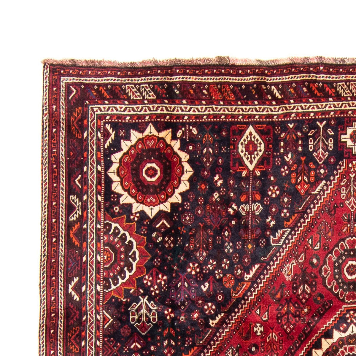 Shiraz Tappeto 230x315cm - Tappeto persiano