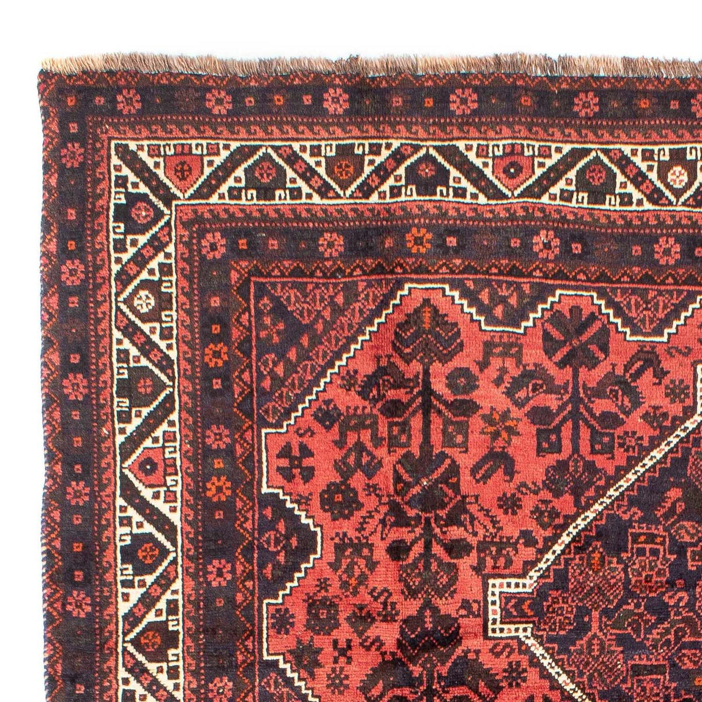 Tapis de Chiraz Tapis 300x207cm - Tapis persan